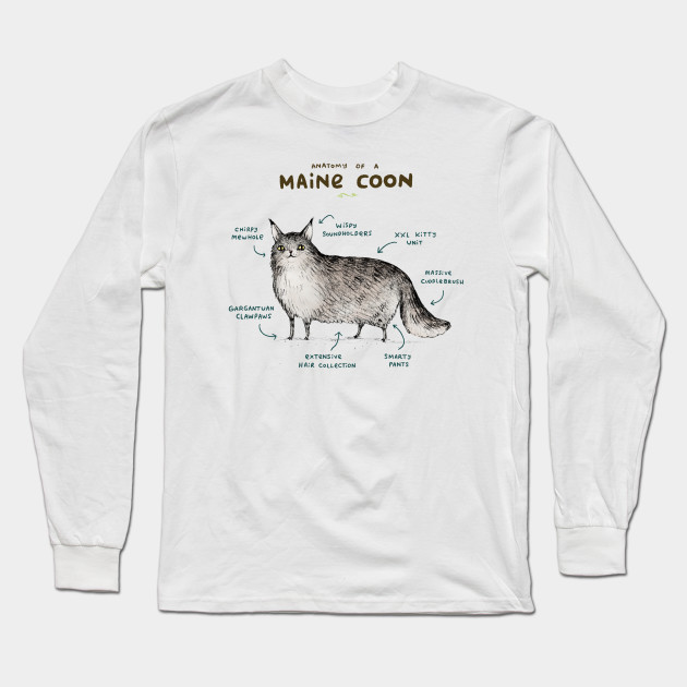 Anatomy of a Maine Coon